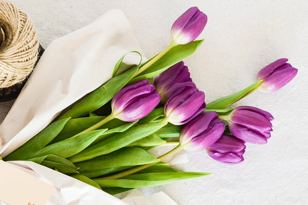 Tulips Bouquet