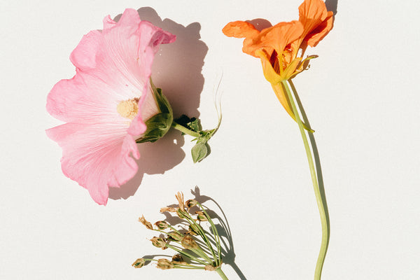 Single Flower Bouquet