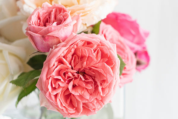 Single Flower Bouquet