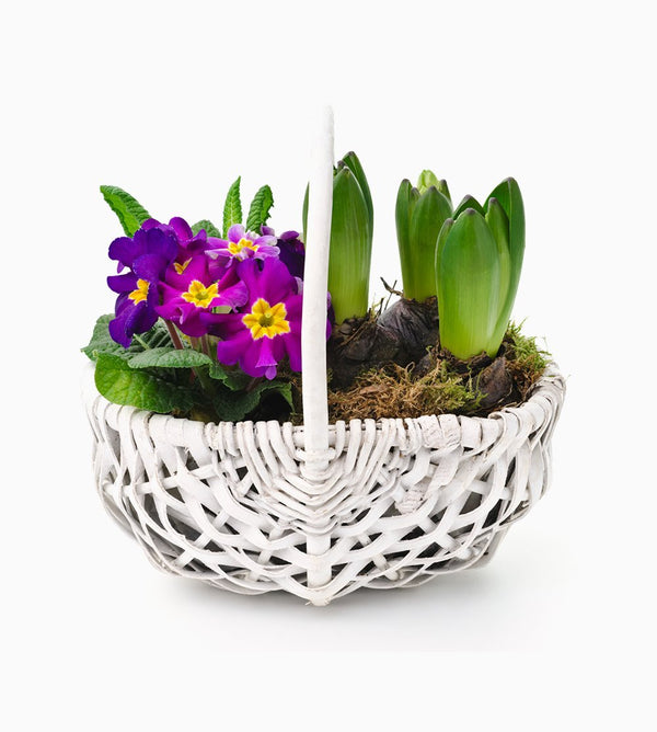 Wish Flower Bouquet